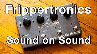 TC Electronic Ditto X4 - Frippertronics/Sound on Sound Loops (Amazing!!)