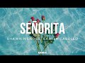 Shawn Mendes, Camila Cabello - Señorita (Lyrics)