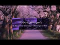 Ya Habibi ya Muhammad lyrics with translation|English translation|vocalsonly|nocopyright|Maher Zain