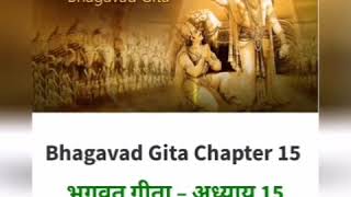 Sri Bhagavad Geeta | Purushothma Yoga | Srinath