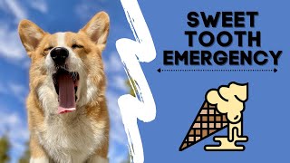 Sweet Tooth Emergency!