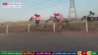 مسابقات اسبدوانی ایران - استان یزد - بهار 1402 | Equestrian competitions of Iran, Yazd province