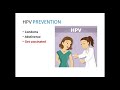 HPV Presented by Dr. Jk Rasamny