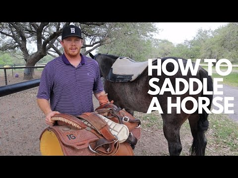 How long does it take to saddle a horse?