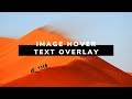 Awesome Image hover with Text overlay | How to Create Image Hover Overlay Effects