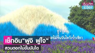 ฟูจิ ฟูใจ สวนดอกไม้ขั้นบันไดวังน้ำเขียว | เรื่องดีดีทั่วไทย | 1-12-66