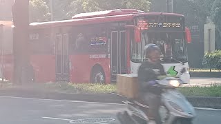 【新車速遞】巨業交通 華德RAC電巴 305路 EAL-2051