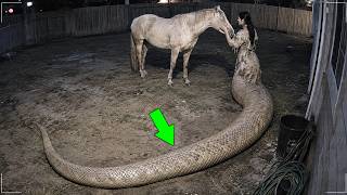 Something IMPOSSIBLE Was Caught on a Backyard Camera! Top 50