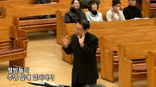 영화롭도다 | 분당한신교회 할렐루야찬양대 | 지휘 임명운 | 250105