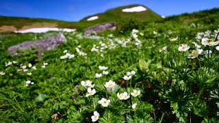 【山の絶景】東北の山「焼石岳」の美しい風景