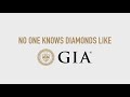 buying a diamond trust gia