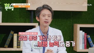 고통스러운 관절 통증을 개선해 준 효자템 등장🤩 TV CHOSUN 20220814 방송 | [건강면세점］ 114회 | TV조선