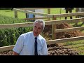 Mole drainage and soil loosening masterclass