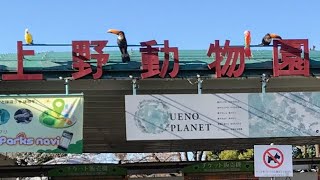 上野動物園 のまとめ（マップ案内） Japan zoo