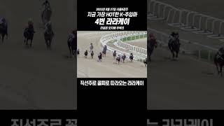 꼴찌에서 1등됨 #경마 #라라K #추입 #krbc #경마방송 #대역전 #충격반전 #shorts #horseracing #worldhorseracing #무빙 #초스피드