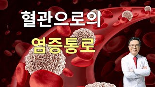 혈관으로 염증이 들어오는 5개의 유입 관문. 염증통로를 막아 만성염증을 극복하는 법