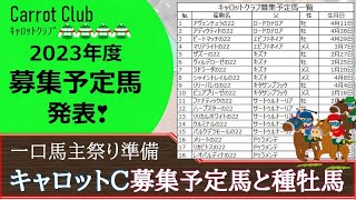 【一口馬主】キャロットクラブ募集予定馬発表！種牡馬レパートリーが豊富で楽しみなラインナップになっております。新規繁殖牝馬にも期待☆