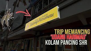 VLOG#2 | Memancing Udang Harimau di Kolam SHR Pajam