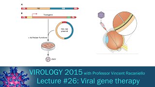 Virology 2015 Lecture #26: Viral gene therapy