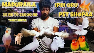 மதுரைல ipdi oru Pet Shopஆ🤯 - Pet Shop Review in Tamil| NIVASH VLOGS