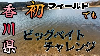 【バス釣り】香川にプチ鳶参上！初フィールドでも、冬でも…やっぱりビッグベイトチャレンジ！