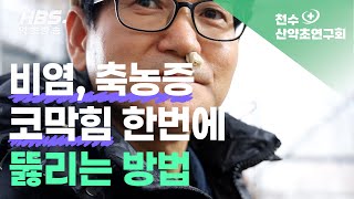 비염,축농증, 코막힘 한번에 뚫리는 방법