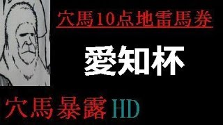 【最速攻略srush】愛知杯2014の競馬予想