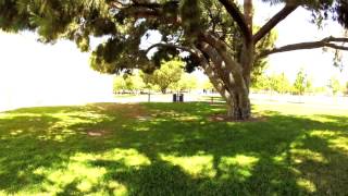 Campus Vibes