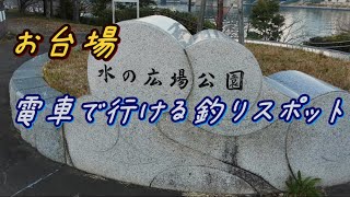 【東京湾 海釣り】お台場水の広場公園を散歩【ゆりかもめ青海駅下車すぐ】