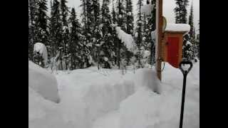 Big Snow Dig Out.