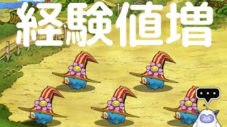 dqmsl　経験値増　ハナちゃん（ドラクエ１０コラボ）失敗談すげー勘違いしてた〜！　もみけんのドラゴンクエストスマホ