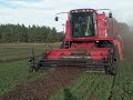 Combining Red Clover Seed