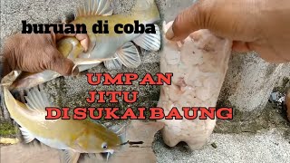 @ronitattonelayan1874 Cara bikin umpan mancing paling ampuh