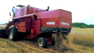 Stary BIZON Z056 Super ☆,,Końcówka pierwszego dnia żniw 2014 '' PodkarpacieHD-Agro Fascynaci TV