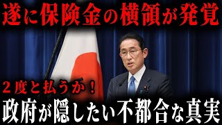 【注意！車両購入者全員が対象です】保険料の横領が発覚しました...横領の裏に潜む政治の闇とは？【ゆっくり解説】