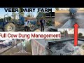 Cow dung waste management of dairy farm । Cow dung scraper । Veer dairy Farm ।