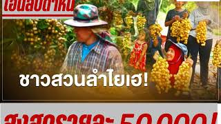 #เงินลำไยสูงสุด 50000#ชาวสวนลำไยรับเงินสูงสุด 50000 โอนสัปดาห์นี้ ผ่านธนาคาร ธกส. ดูด่วน!!!!