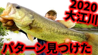 【夏 バス釣り】夏本番！大江川の天才バス君達を探し攻略する方法！！BassFishing