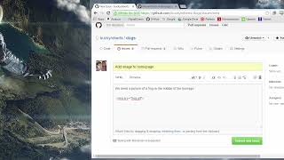 Git Tutorial 23 GitHub Issues and Labels