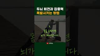 🌱기억력과 집중력을 폭발적으로 높이는 5가지 방법.