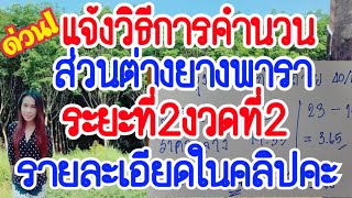 ด่วน!วิธีการคำนวนส่วนต่างประกันรายได้ยางพาราระยะที่2งวดที่2ได้เท่าไรดูในคลิปคะ