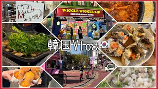 【韓国旅行🇰🇷Vlog】2泊3日で行ける！いま話題のグルメ＆コスメスポットまとめ✨（明洞・ホンデ・ソンス・梨泰院）