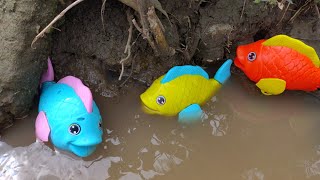 Find sea animal toys in river, Shark, Starfish, Sea fish, Stingray, Turtle, Lobster - Part162