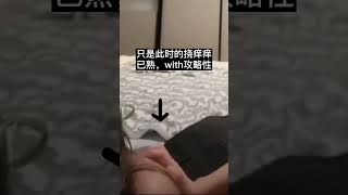 【FreenBecky】妹宝挠痒痒考古，原来是从过去挠到现在。