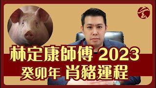 林定康師傅 2023 癸卯年 肖豬運程｜十二生肖｜犯太歲｜玄太祖｜林定康師傅