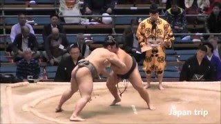 【貴ノ富士の強烈張り手】 貴公俊 (貴ノ富士)vs 肥後ノ城 2016大相撲春場所6日目 Takayoshitoshi vs Higonojyo SUMO 2016 March