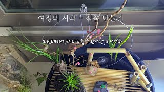 새로운 취미생활 - 여정의 시작 /그린테리어 만들기