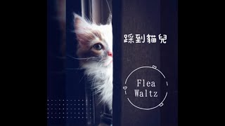 【烏克麗麗自學】踩到貓兒Flea Waltz