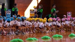 10月15日運動会  保育園