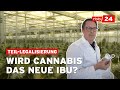 Kiffen auf Rezept: Wie eine Berliner Firma mit Cannabis ihren Gewinn verdoppeln will